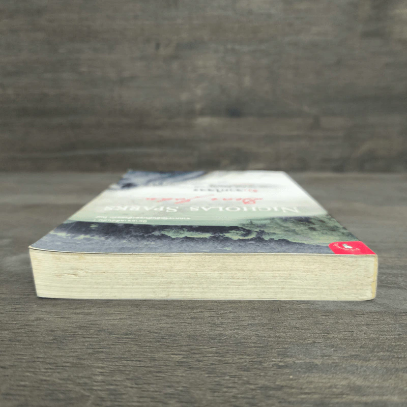 รักจากใจจร Dear John - Nicholas Sparks รูปที่ 4