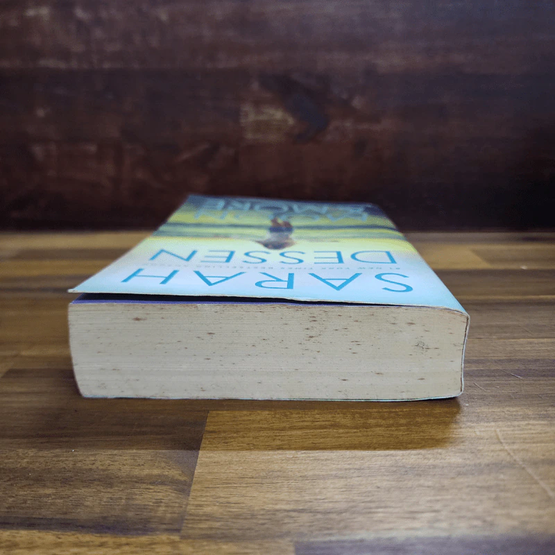 The Moon & More - Sarah Dessen รูปที่ 5