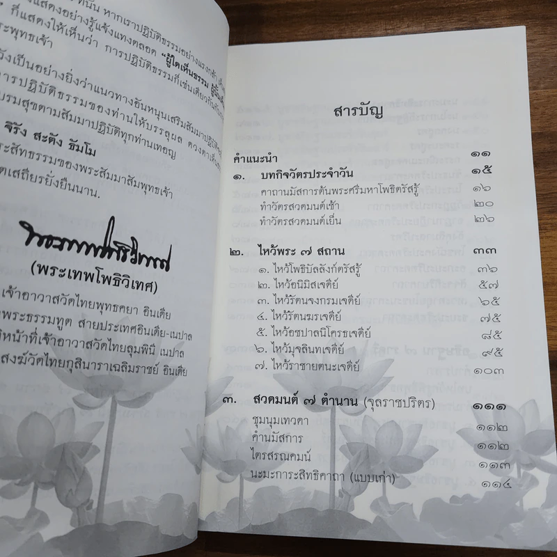 คู่มือไหว้พระพุทธคยา - พระเทพโพธิวิเทศ รูปที่ 8