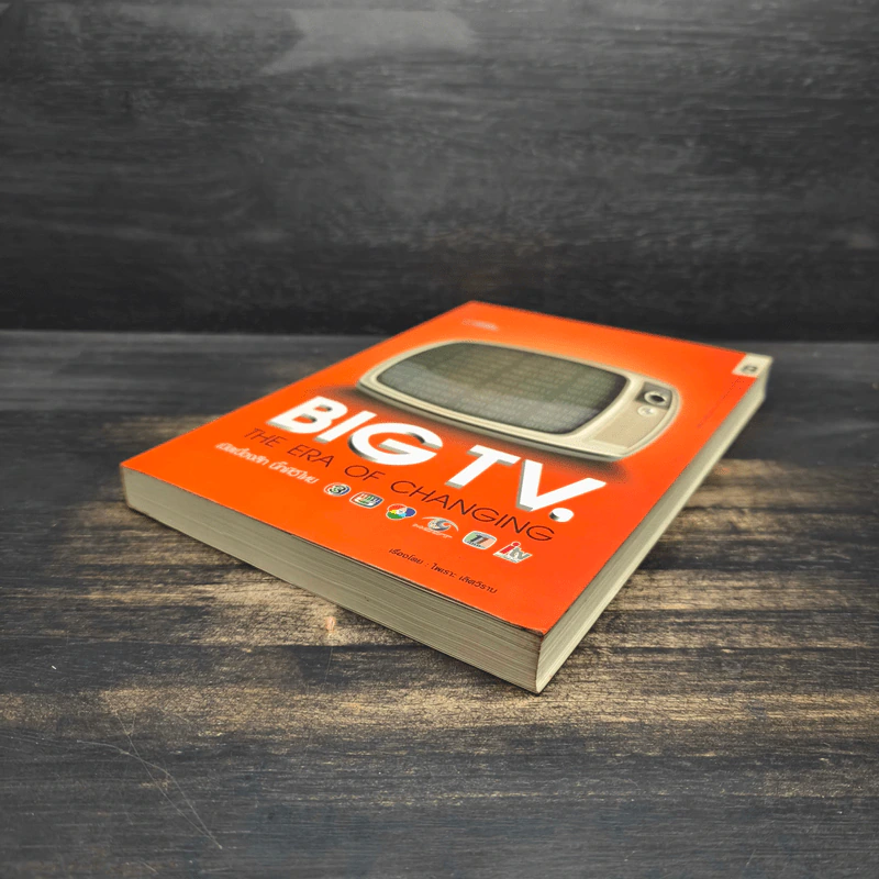 Big TV เปิดเบื้องลึก บิ๊กทีวีไทย - ไพเราะ เลิศวิราม รูปที่ 4