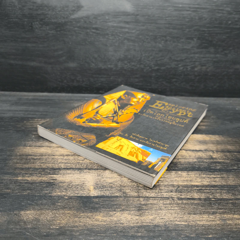 Exploring Ancient Egypt เปิดโลกไอยคุปต์บันทึก (ไม่) ลับจากอเล็กซานเดรียจรดอบูซิมเบล รูปที่ 4