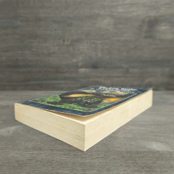 The Lost World & Other Stories รูปที่ 3