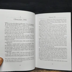 The Perfect Storm - Sebastian Junger รูปที่ 6