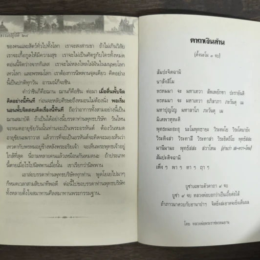 ธรรมปฏิบัติ 28 รูปที่ 8