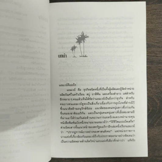 สู่ฝันอันยิ่งใหญ่ - ชาร์ลส พอล คอนน์ รูปที่ 7