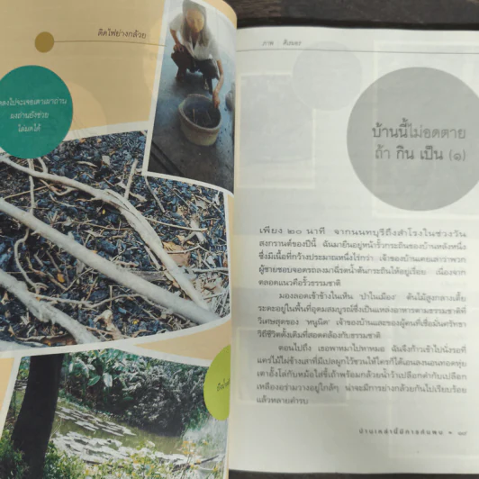 บ้านเหล่านี้มีการค้นพบ - ศิเรมอร อุณหธูป รูปที่ 8