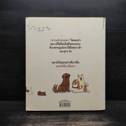 หมาจ๋า 50 จากล้านเหตุผลที่คนหหนึ่งคนรักหมา - หมาจ๋า รูปที่ 2