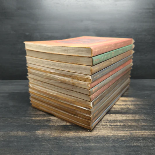 ชุดอยากให้เรื่องนี้ไม่มีโชคร้าย เล่ม 1-12 - Lemony Snicket รูปที่ 4