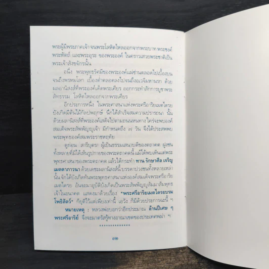 ประวัติการสร้างพระศรีอาริยเมตไตรย - พระราชพรหมยาน รูปที่ 8