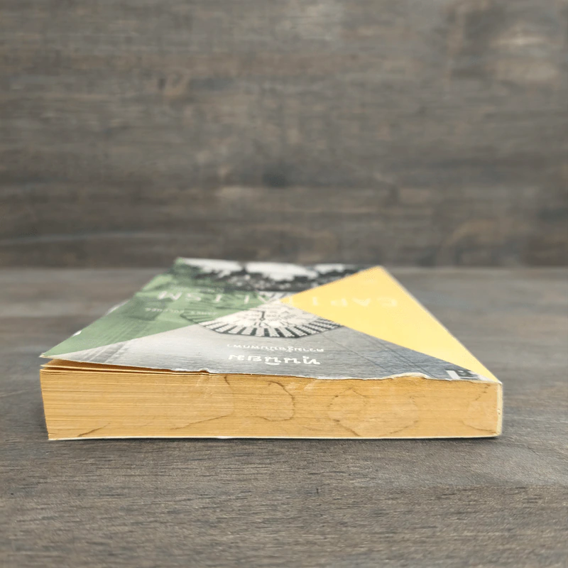 ทุนนิยม: ความรู้ฉบับพกพา - James Fulcher รูปที่ 4