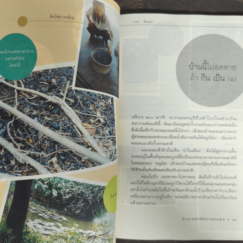 บ้านเหล่านี้มีการค้นพบ - ศิเรมอร อุณหธูป รูปที่ 8