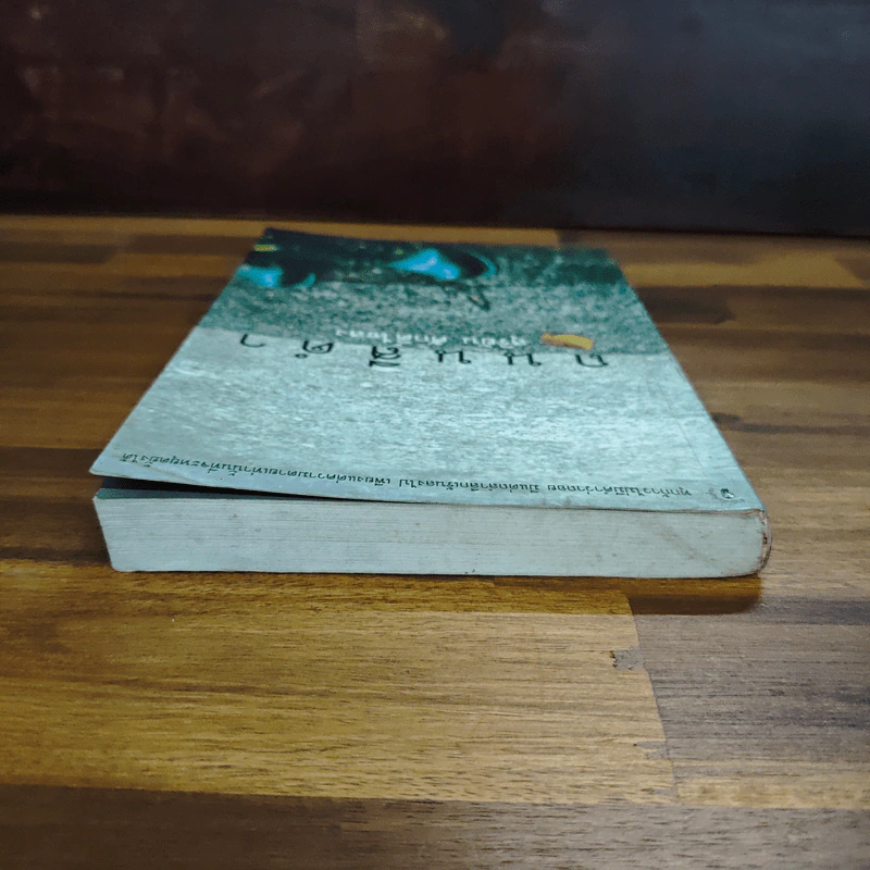 ถนนสีดำ - สุริยัน ศักดิ์ไธสง รูปที่ 5