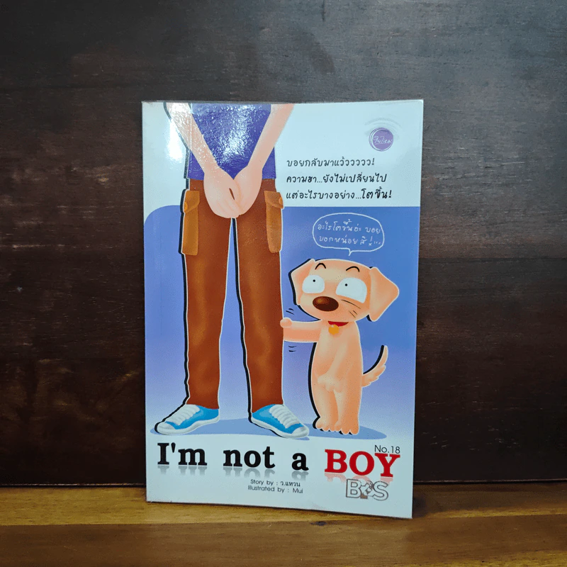 I'm Not a Boy No.18 - ว.แหวน รูปที่ 1