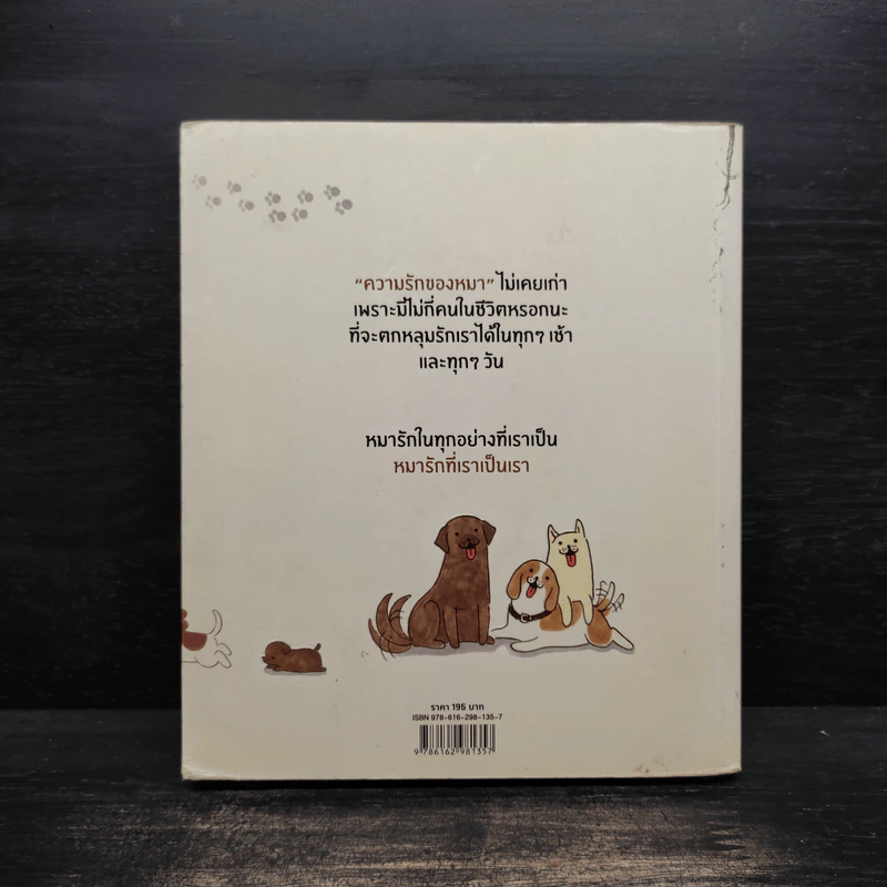 หมาจ๋า 50 จากล้านเหตุผลที่คนหหนึ่งคนรักหมา - หมาจ๋า รูปที่ 2