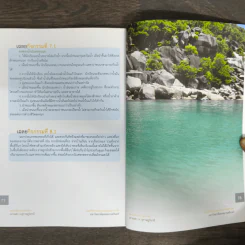 ระบบนิเวศหาดทราย เกาะเต่า จ.สุราษฎร์ธานี รูปที่ 8