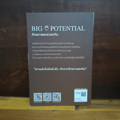 BIG POTENTIAL ศักยภาพแกร่งยกทีม - Shawn Achor รูปที่ 2