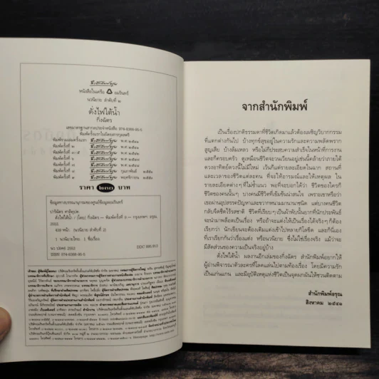 ดั่งไฟใต้น้ำ - กิ่งฉัตร รูปที่ 6