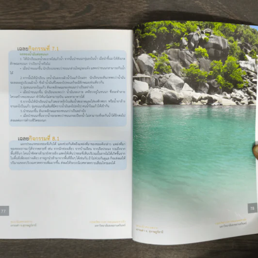 ระบบนิเวศหาดทราย เกาะเต่า จ.สุราษฎร์ธานี รูปที่ 8