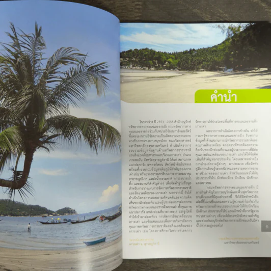 ระบบนิเวศหาดทราย เกาะเต่า จ.สุราษฎร์ธานี รูปที่ 6