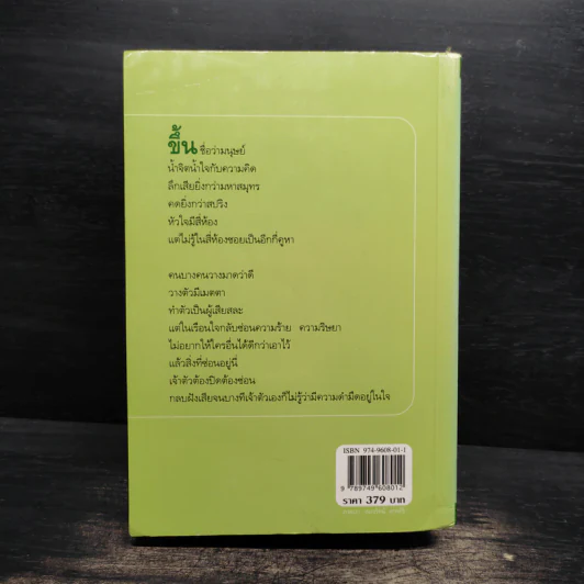 ในเรือนใจ - กิ่งฉัตร รูปที่ 2