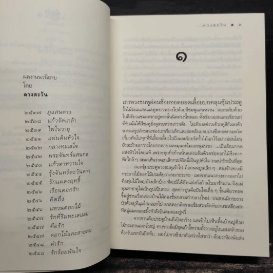 รักร้อยพันใจ - ดวงตะวัน รูปที่ 7