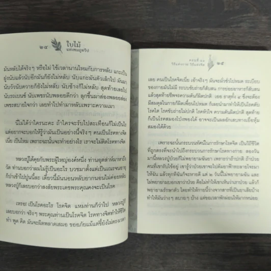 ใบไม้แห่งชมภูทวีป ตอนที่ 11 วิถีแห่งกาย วิถีแห่งจิต - หลวงปู่พุทธะอิสระ รูปที่ 8