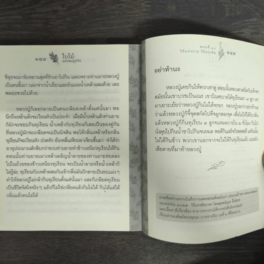 ใบไม้แห่งชมภูทวีป ตอนที่ 11 วิถีแห่งกาย วิถีแห่งจิต - หลวงปู่พุทธะอิสระ รูปที่ 9