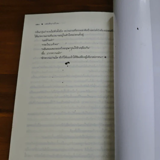 เสน่ห์นางอ้วน - รุ้งอ้วนหนอนหนังสือ รูปที่ 9