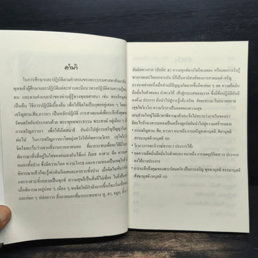 หนังสือสวดมนต์ บุญแท้แท้ รูปที่ 6