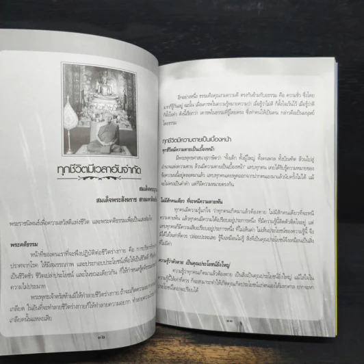 ประสมสุข สุทธินนท์ รูปที่ 8