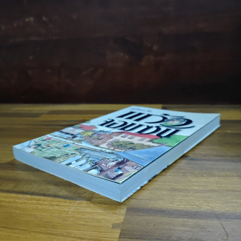 แก้วจอมซน - แว่นแก้ว รูปที่ 4