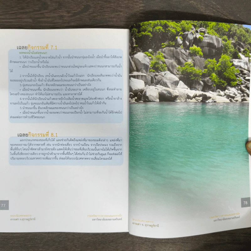 ระบบนิเวศหาดทราย เกาะเต่า จ.สุราษฎร์ธานี รูปที่ 8