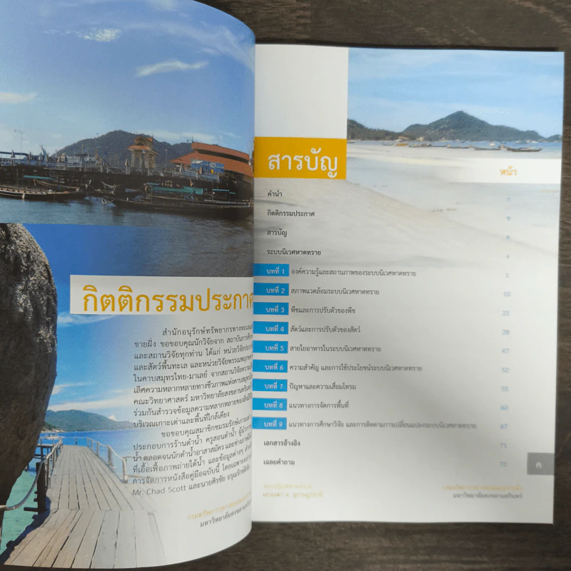 ระบบนิเวศหาดทราย เกาะเต่า จ.สุราษฎร์ธานี รูปที่ 7