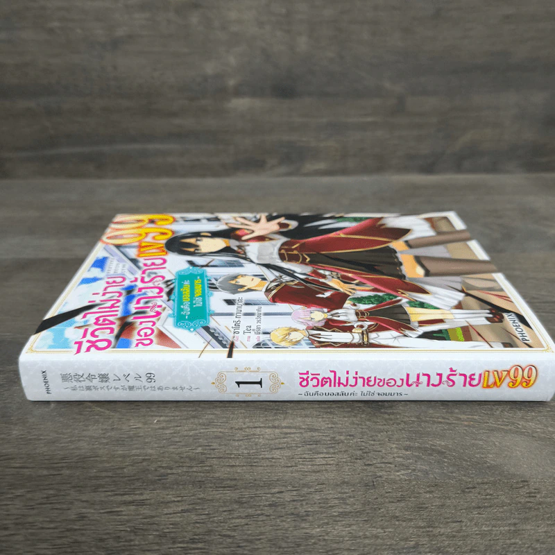 ชีวิตไม่ง่ายของนางร้าย LV99 เล่ม 1 รูปที่ 2