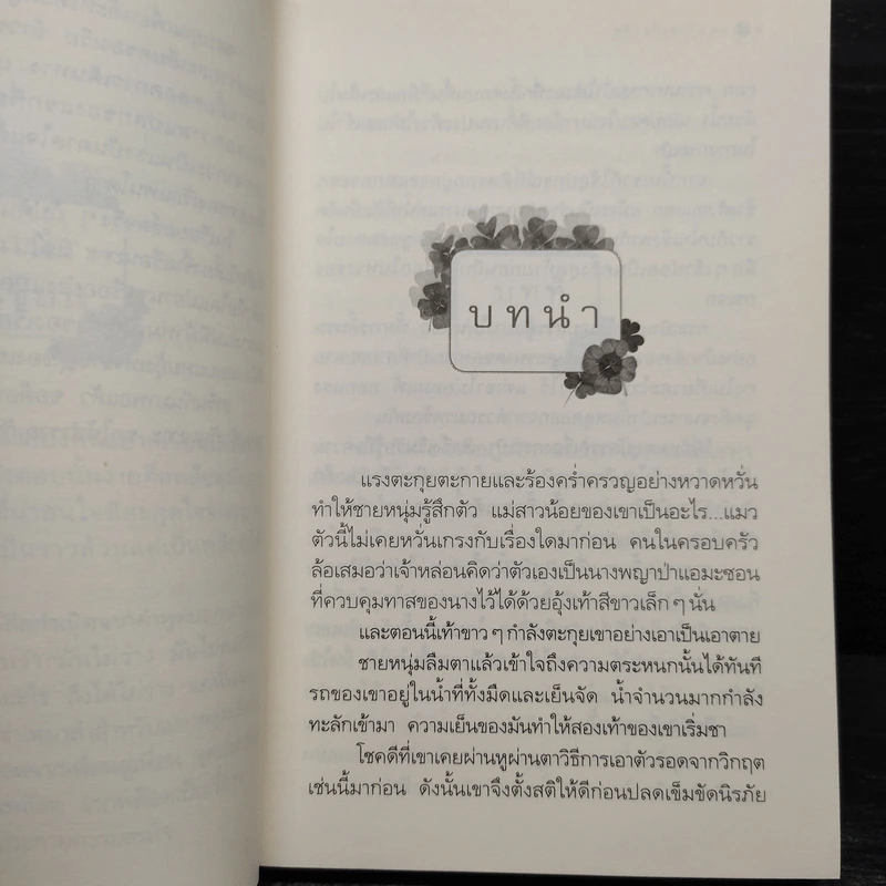 แผนร้ายเกี่ยวรัก - กิ่งฉัตร รูปที่ 7