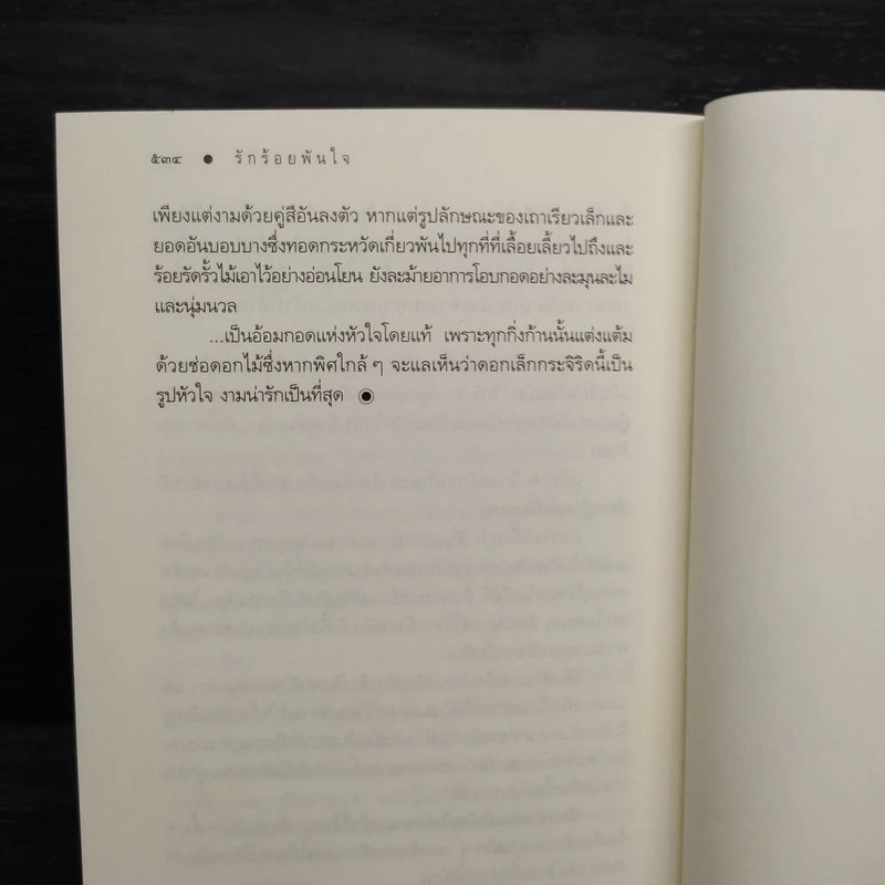 รักร้อยพันใจ - ดวงตะวัน รูปที่ 8