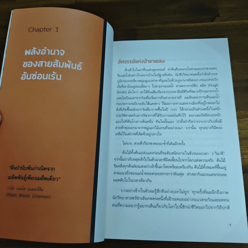 BIG POTENTIAL ศักยภาพแกร่งยกทีม - Shawn Achor รูปที่ 8