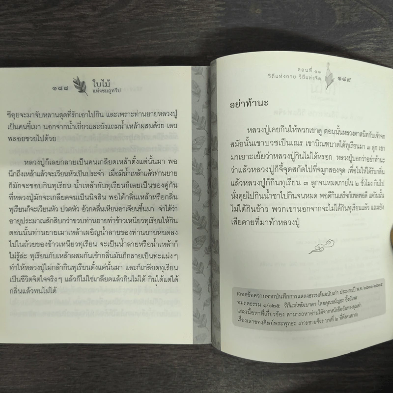 ใบไม้แห่งชมภูทวีป ตอนที่ 11 วิถีแห่งกาย วิถีแห่งจิต - หลวงปู่พุทธะอิสระ รูปที่ 9