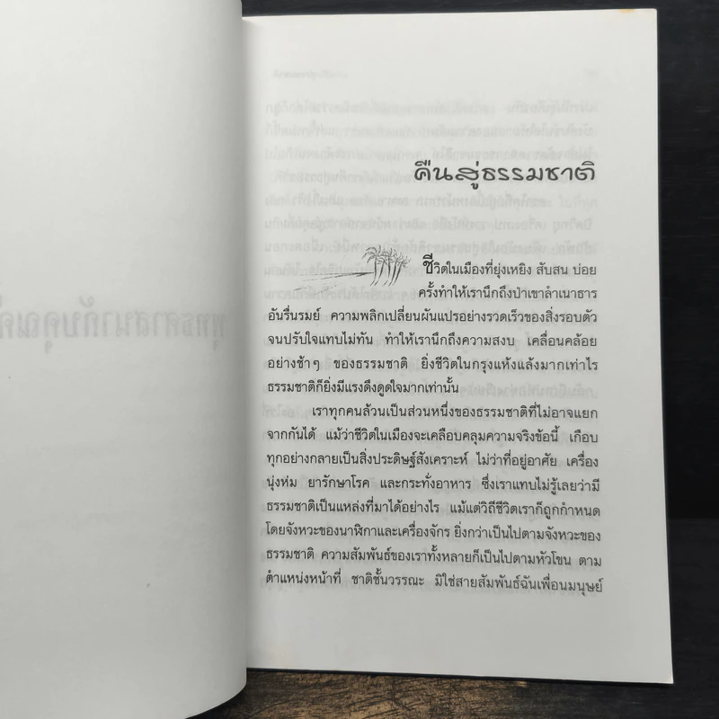 พุทธศาสนากับคุณค่าต่อชีวิต - พระไพศาล วิสาโล รูปที่ 8
