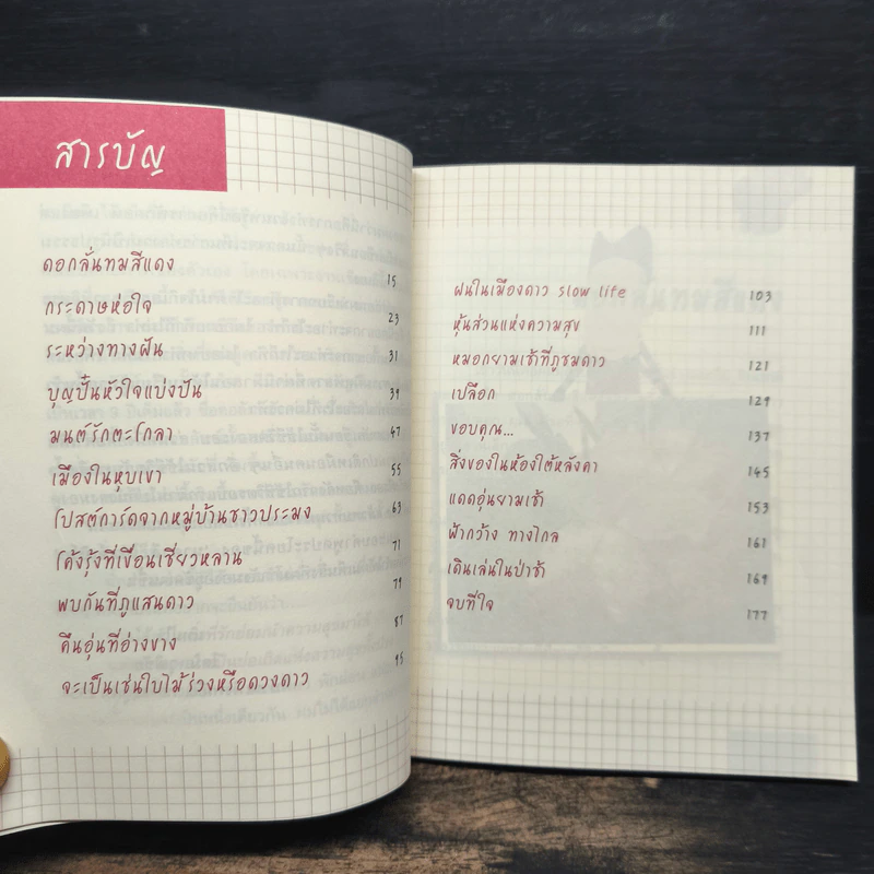 ผลิบานด้านใน - โดม วุฒิชัย รูปที่ 7