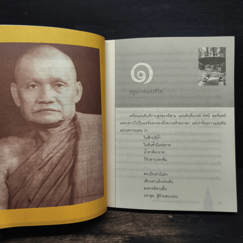 พระอาจารย์ชา สุภัทโท ยอดนักรบหนองป่าพง รูปที่ 8