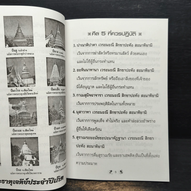 เคล็ดวิธีแก้กรรม-ปัญหาชีวิต กินอย่างไร-ไร้โรคภัย รูปที่ 8