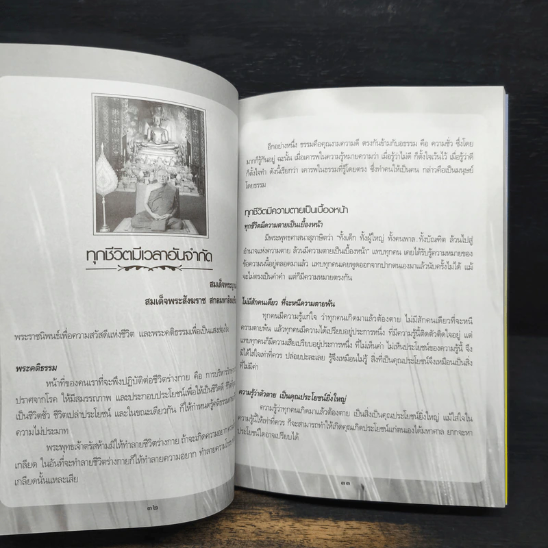 ประสมสุข สุทธินนท์ รูปที่ 8