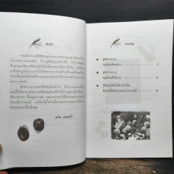 สมุนไพรเพื่อความงาม - เปรม แสงแก้ว รูปที่ 7