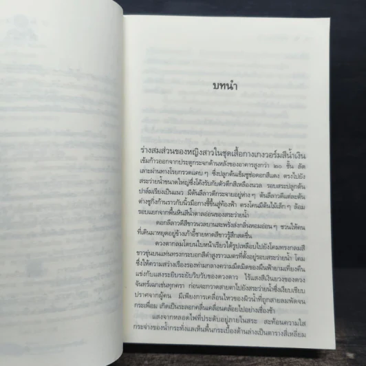 เพลิงพราย - อรพิม รูปที่ 7