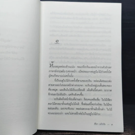 ไม้เมืองหนาว - สิริมา อภิจาริน รูปที่ 7