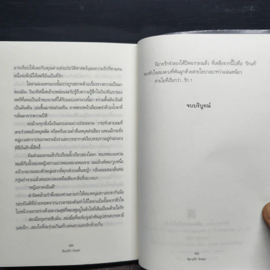 นิยายรัก จำลอง - คีตาญชลี รูปที่ 8