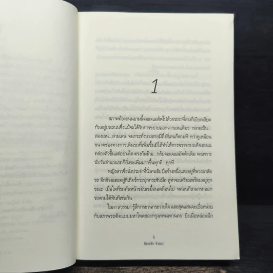 นิยายรัก จำลอง - คีตาญชลี รูปที่ 7