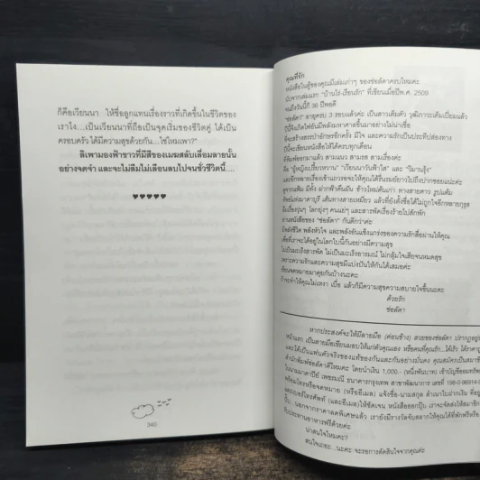 เวียนนาวันฟ้าใส - ช่อลัดา รูปที่ 8