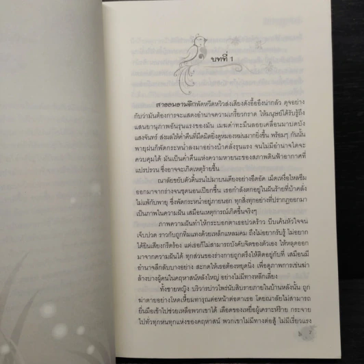 สิเน่หาต่างภพ รูปที่ 7